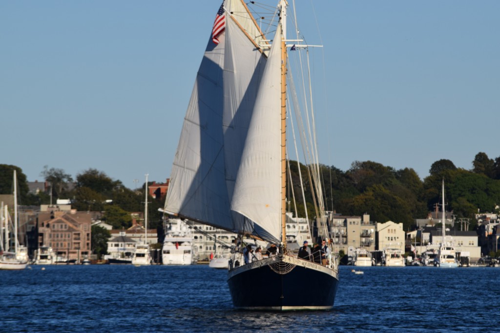 Newport schooners