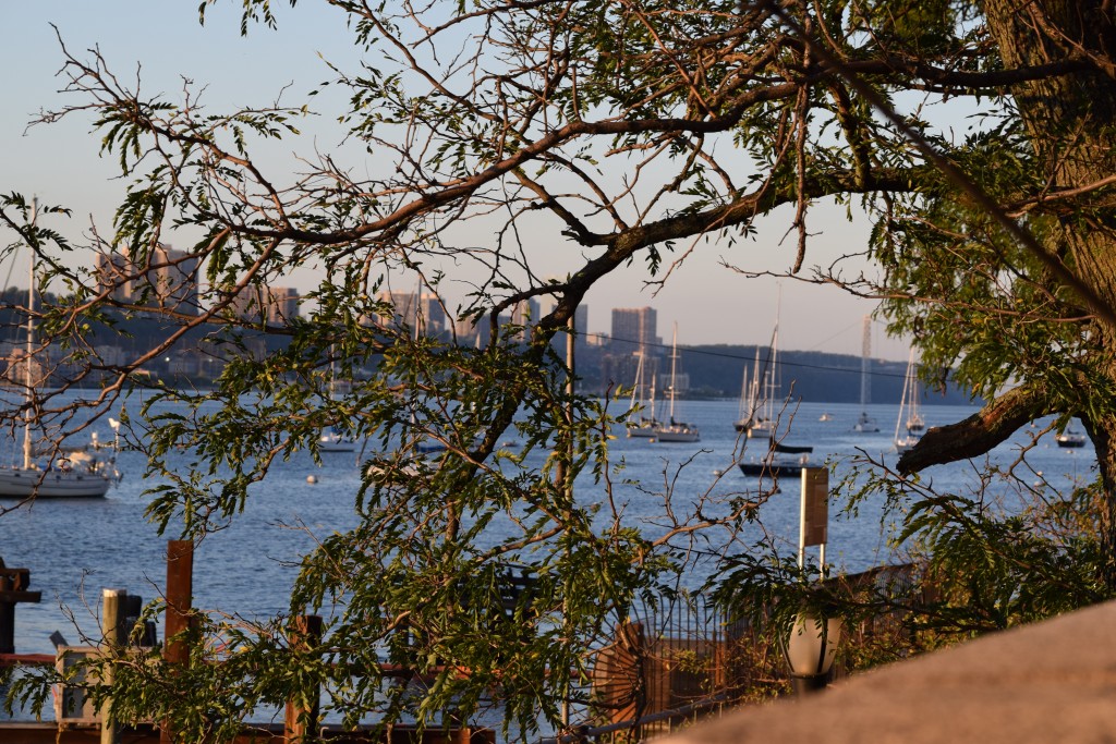 Looking at the 79th Street mooring field