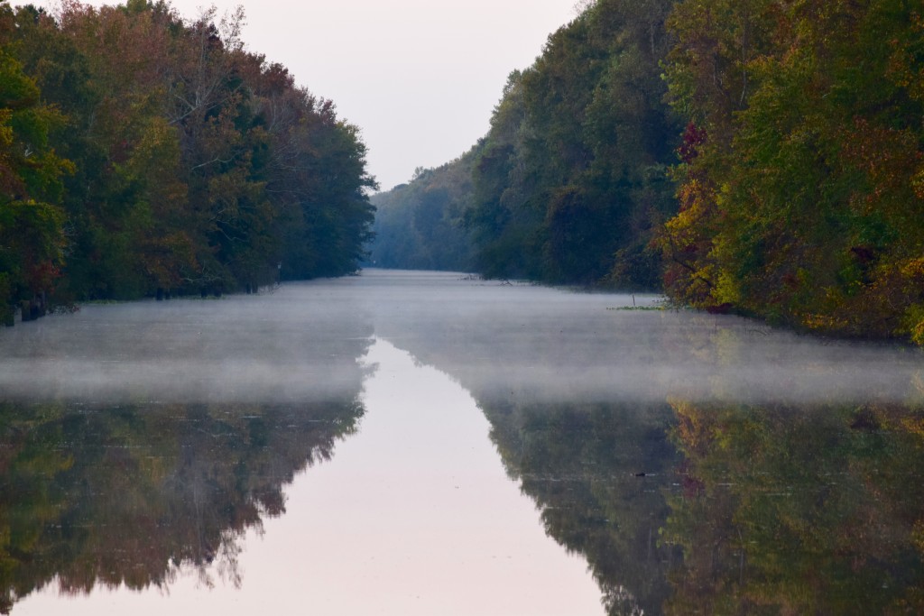 7 AM departure to make it to the South Mills locks to exit the Dismal Swamp