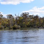 marsh lands