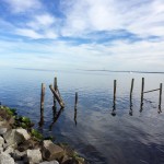 Looking off into the Neuse River