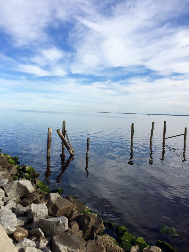 Looking off into the Neuse River