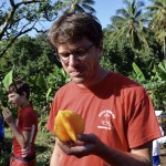 Taking a bite out of starfruit. A bit tart at the end but really tasty in the center like a peach.