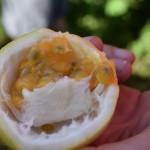 passion fruit. very tart on its own