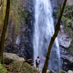 Milton Falls in the Syndicate Forest