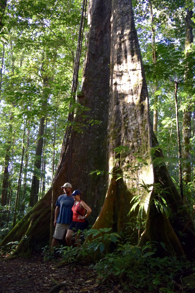 Nills and Lisa with giant trees