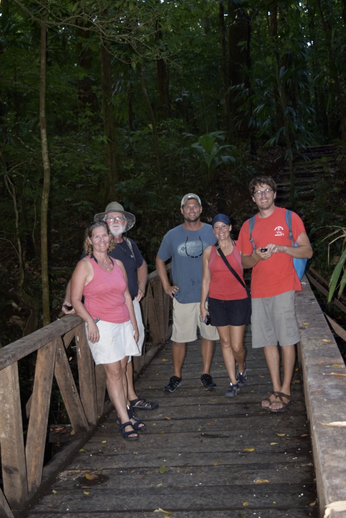 hiking down neatly manicured paths