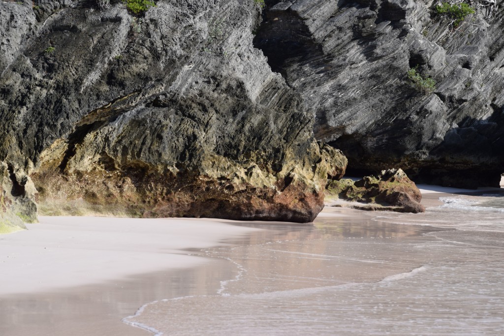 Taking in the pink sand