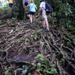 Middleham hike