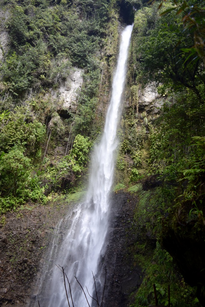 Middleham Falls, the tallest in Dominica at 275 ft