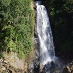 Trafalgar Falls - mama falls