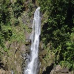 Trafalgar Falls - papa falls