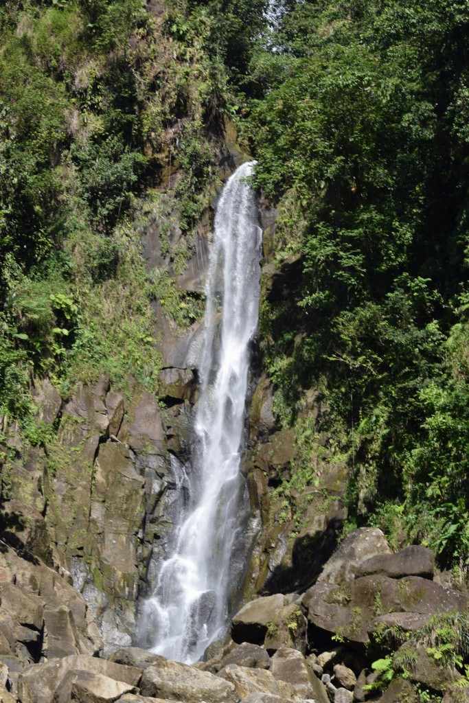 Trafalgar Falls - papa falls