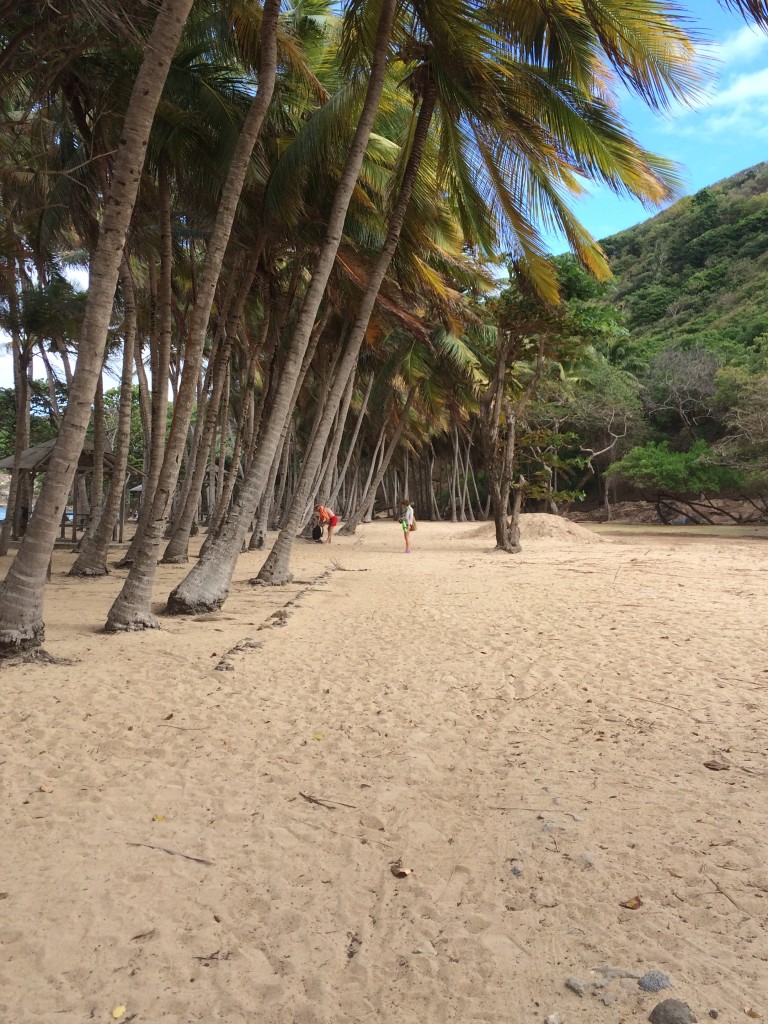 Found some beaches on the West side