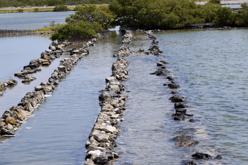 what the old salt plantations looked like