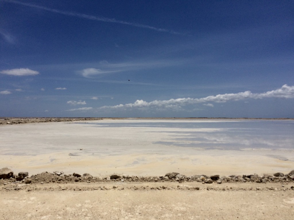 Mortons Salt ponds