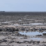 driving a bumpy rocky path