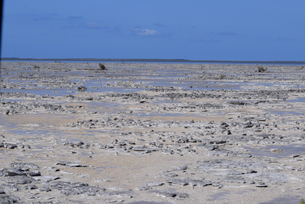 dry flat landscape