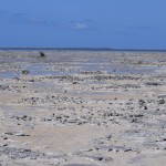 dry flat landscape