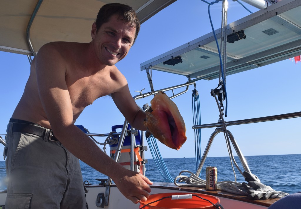 Mike picked up a few conch