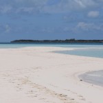 the sandbar