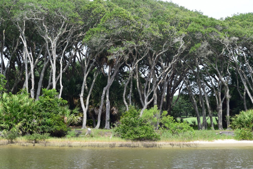 scenery changes throughout the ICW